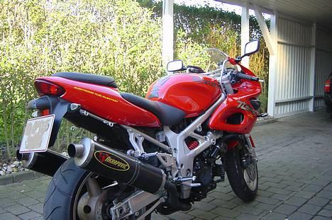 Suzuki TL 1000 S - Solgt billede 3