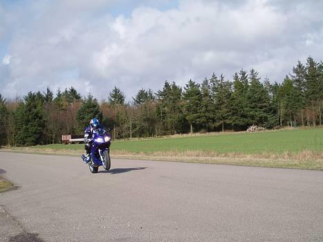 Suzuki sv650s (Skjern) SOLGT - Er ved at gøre klar til foråret der var lid som skulle males billede 3