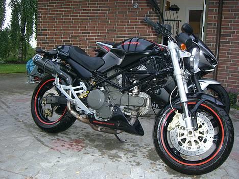 Ducati Monster 600  billede 2