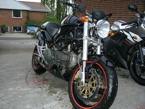 Ducati Monster 600  billede 3