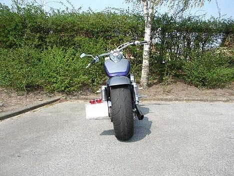 Honda Shadow VT750C2 ACE*SOLGT* billede 5