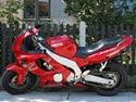 Yamaha YZF 600 R Thundercat