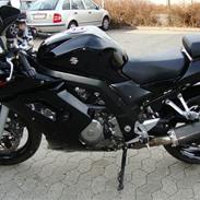 Suzuki sv1000s