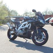 Suzuki sv1000s