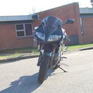 Suzuki sv1000s