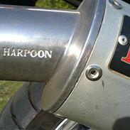 Yamaha YZF 600r Thundercat