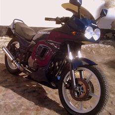 Kawasaki Gpz 550