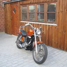 Suzuki LS 650 Savage