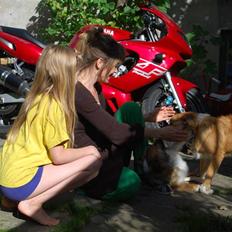 Yamaha YZF 600 R Thundercat