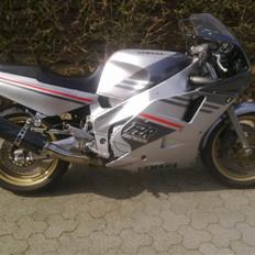 Yamaha FZR 1000 Exup