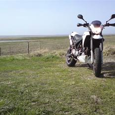 Yamaha      XT660X "Semi-motard"