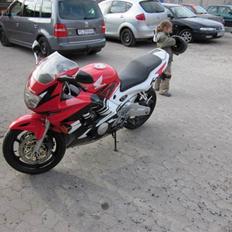 Honda cbr 600 f f3