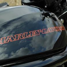 Harley Davidson Night Rod Special