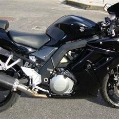 Suzuki sv1000s