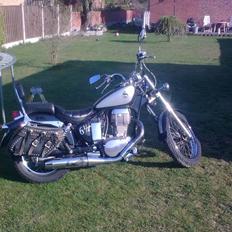 Suzuki LS 650 SAVAGE