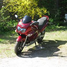 Suzuki GSXF 750