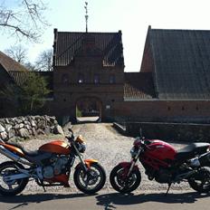 Honda CB 600 Hornet (solgt)