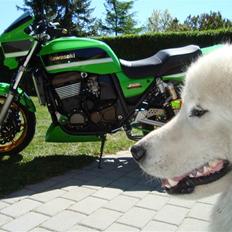 Kawasaki ZRX 1200R Hotrod Havelåge