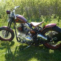 Harley Davidson Sportster Bobber