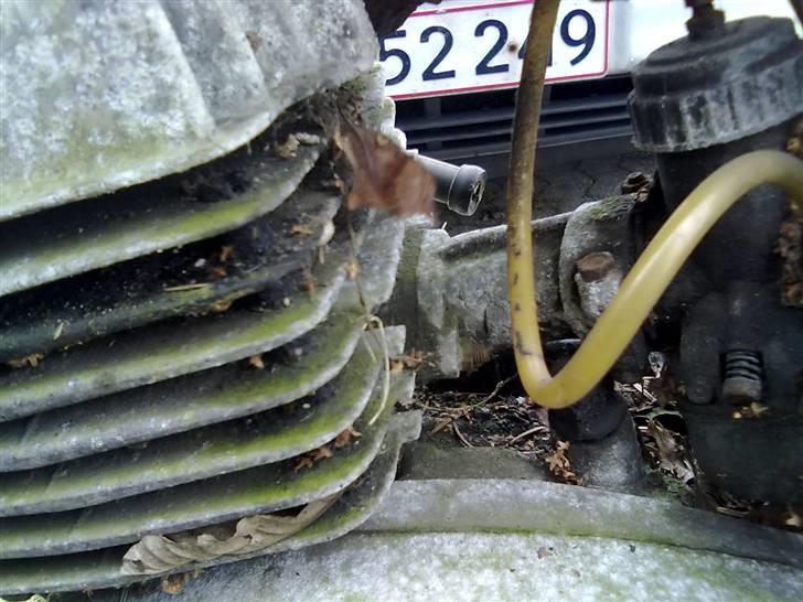 MZ TS 250 billede 10