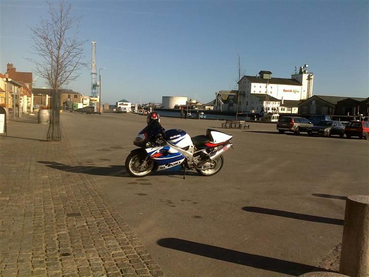 Suzuki TL1000R billede 8