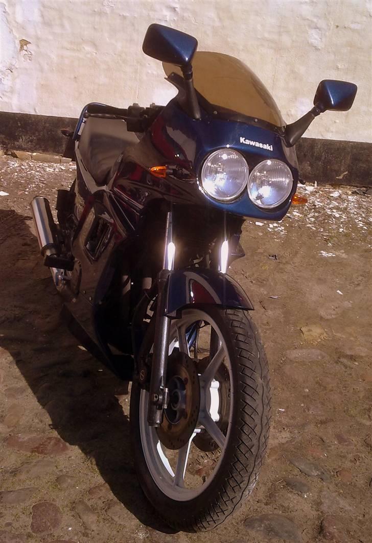 Kawasaki Gpz 550 billede 8