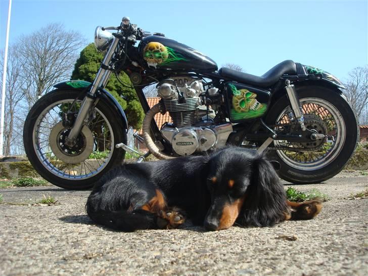 Honda CB 500T Solgt billede 3