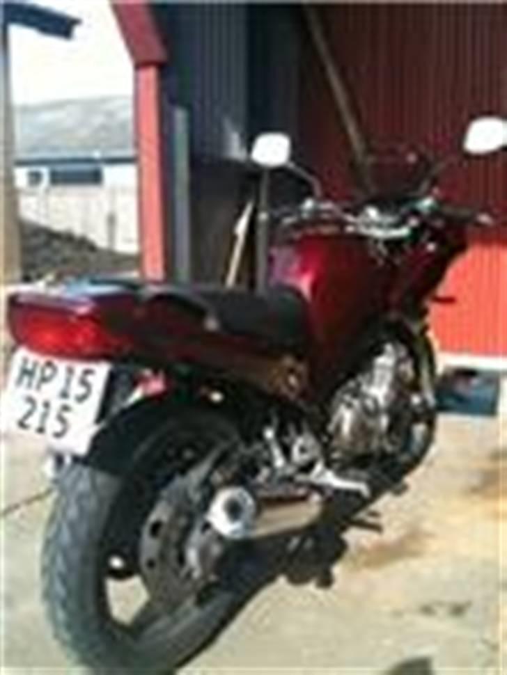 Yamaha xj 600 Diversion - Ny sæson ny farve første tur SKØNT billede 11