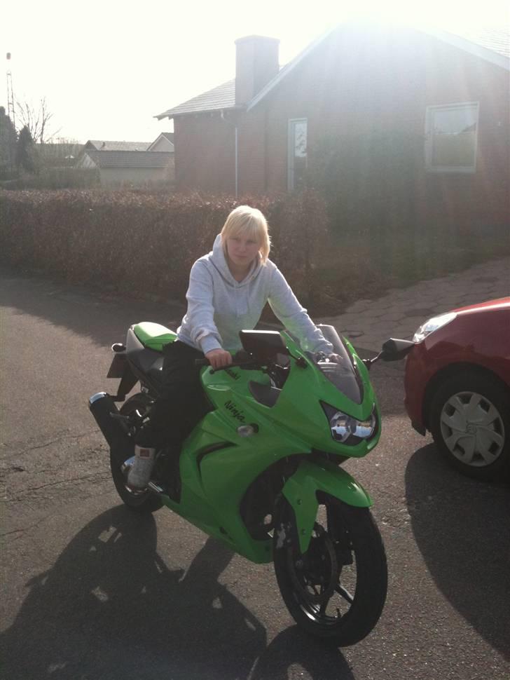 Kawasaki Ninja billede 13