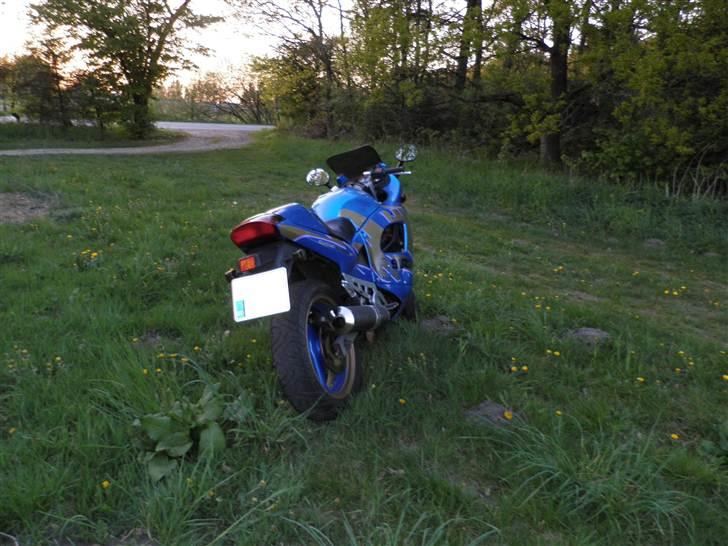 Suzuki GSX600F billede 11