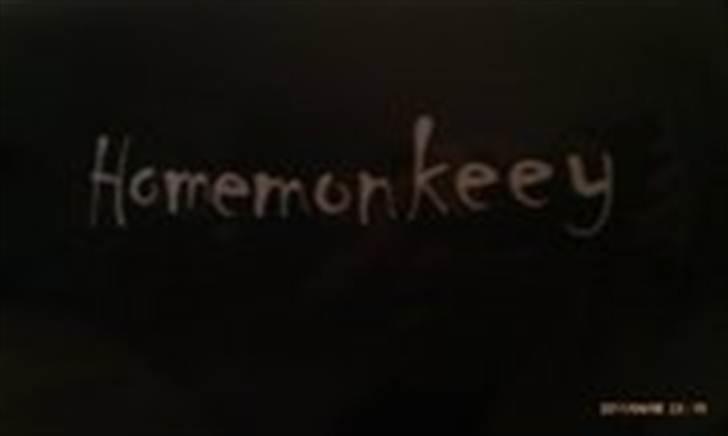 Honda cb 550 f billede 3