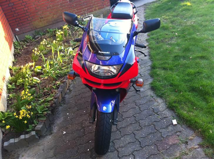 Kawasaki Ninja zx-6r *Julle* billede 5