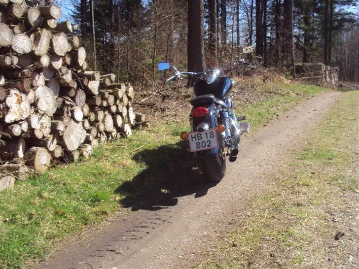 Kawasaki vn 1500 billede 6