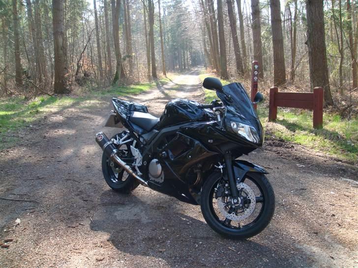 Suzuki sv650s  Solgt billede 6