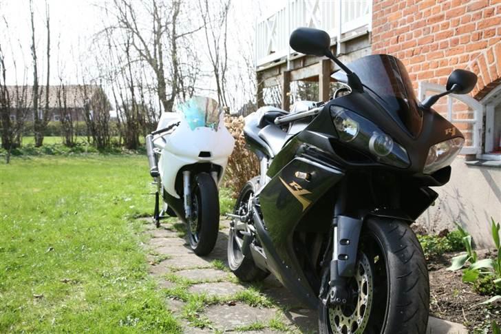 Yamaha R6 - Baneracer - Lillebror og storebror billede 4