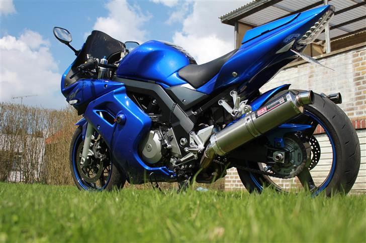 Suzuki sv1000s billede 5