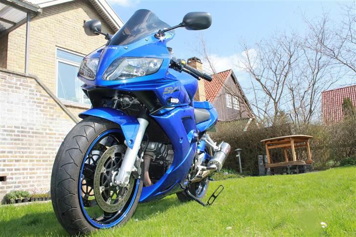 Suzuki sv1000s billede 1