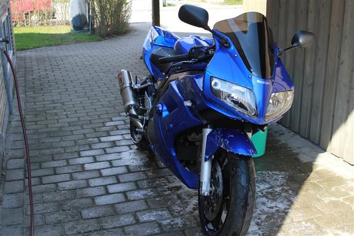 Suzuki sv1000s billede 13