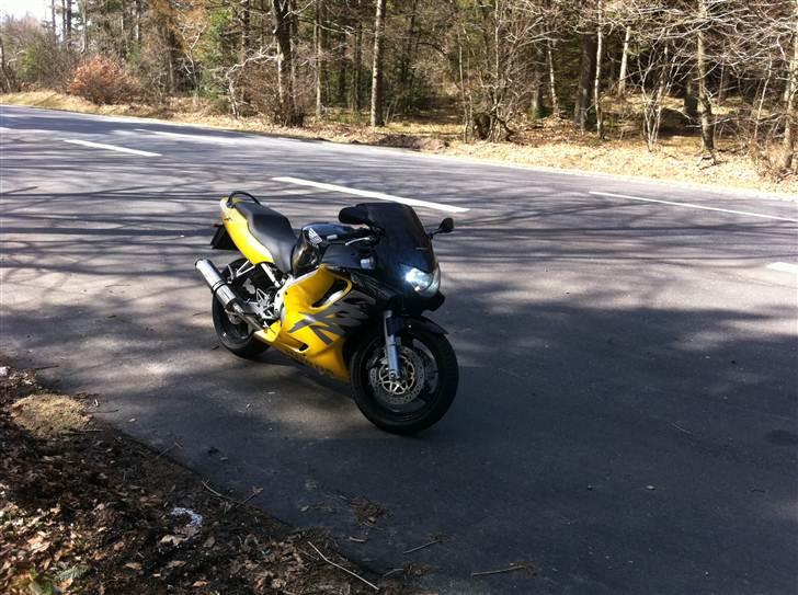 Honda cbr 600 f4 billede 2
