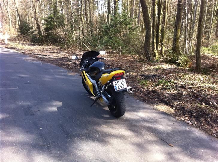 Honda cbr 600 f4 billede 6