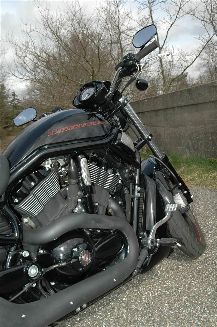 Harley Davidson Night Rod Special billede 11