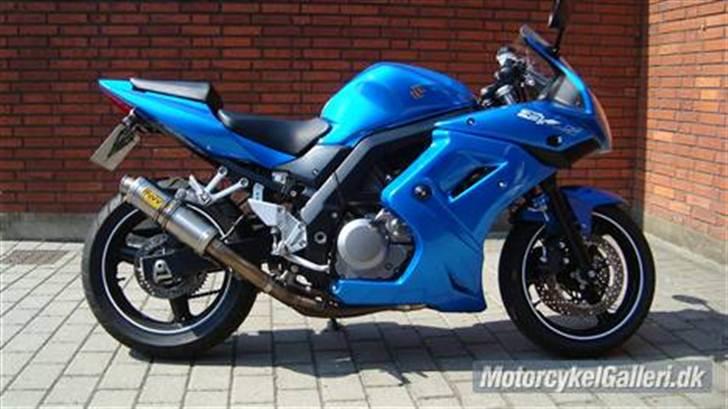 Suzuki SV 650 billede 16