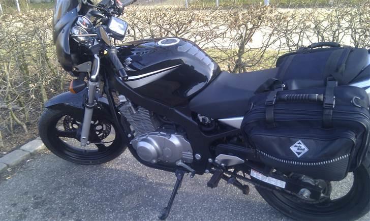 Suzuki *SOLGT* GS 500 F billede 7