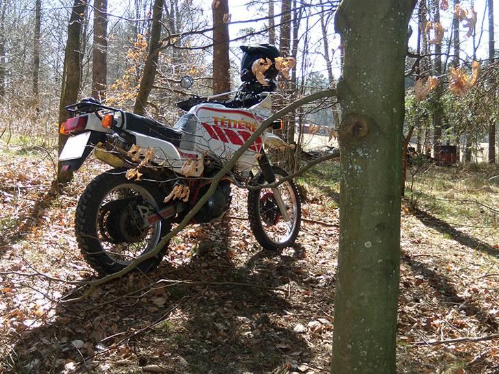 Yamaha XT 600 Z 3AJ Ténéré billede 3