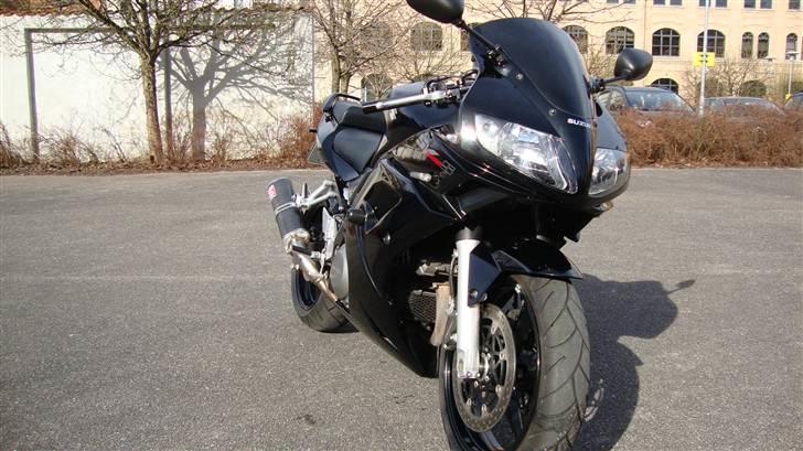 Suzuki sv1000s billede 5