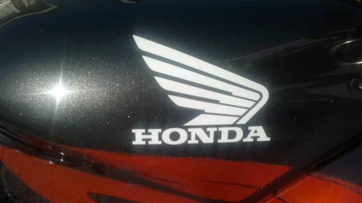 Honda CBR 600 F F3 billede 11