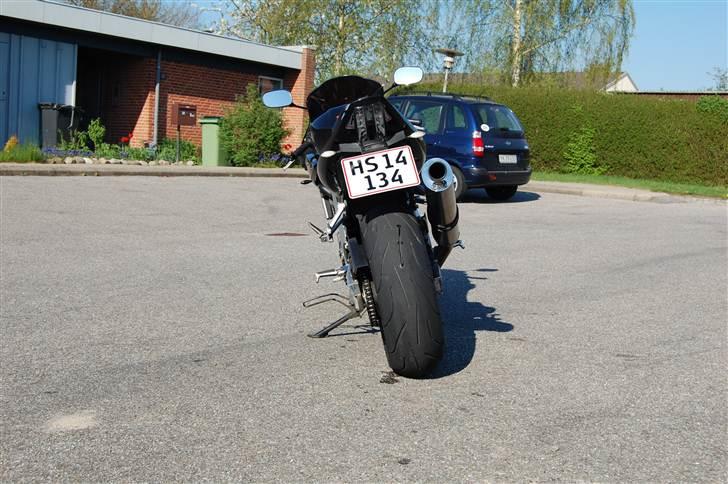 Suzuki sv1000s billede 4