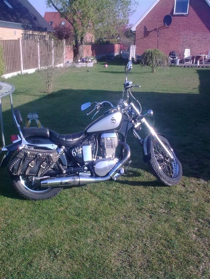 Suzuki LS 650 SAVAGE - Færdig billede 1