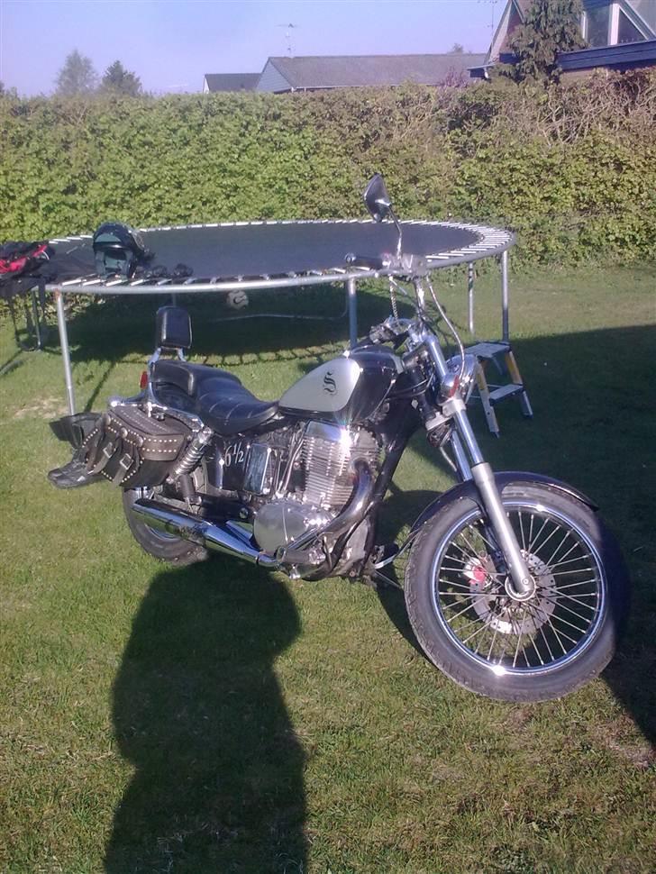 Suzuki LS 650 SAVAGE billede 15