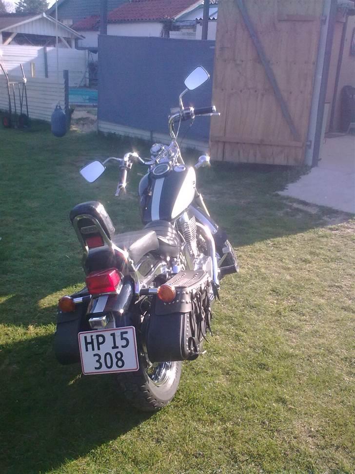 Suzuki LS 650 SAVAGE billede 16